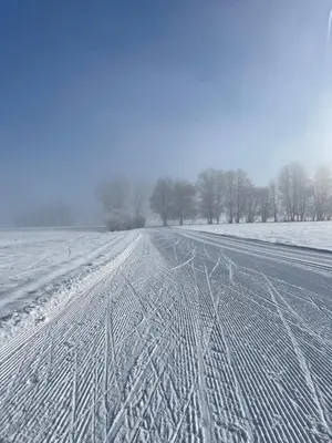 Ferienwohnung Broschek im Winter