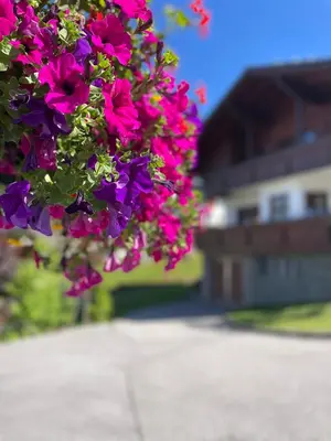 Ein Garten an der Unterkunft Luserblick