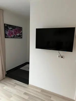 TV/Unterhaltungsangebot in der Unterkunft BacherlHouse - Apt Schönbach