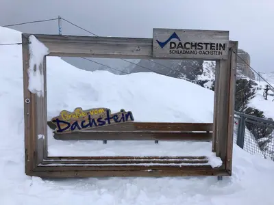 Ahorn 4 im Winter