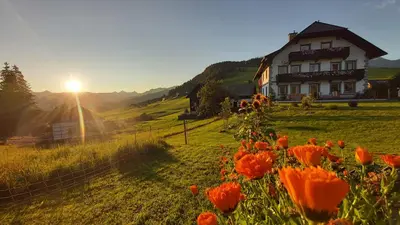 Naturlandschaft in der Nähe des Ferienhauses