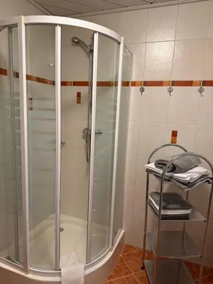 Ein Badezimmer in der Unterkunft Ebster Wolfgang