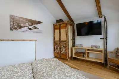 TV/Unterhaltungsangebot in der Unterkunft Goiserer Chalet