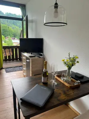 TV/Unterhaltungsangebot in der Unterkunft Dachstein 529