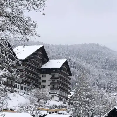 Dachstein 529