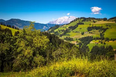 Naturlandschaft in der Nähe der Ferienwohnung
