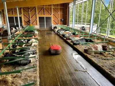 Grundriss der Unterkunft Burglehnerhof